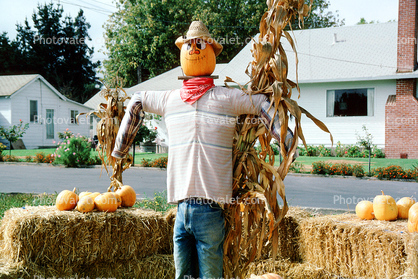 Cowboy, Scarecrow, Sebastopol, California