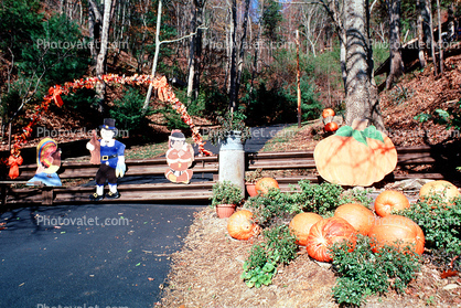 Hay Bales, Scarecrow, Pumpkins