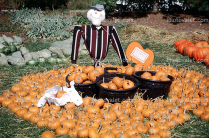 Scarecrow, Pumpkins, Smiling, Buckets