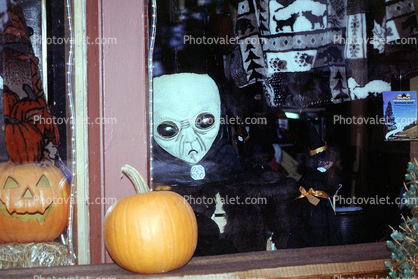 Door County, Alien, Pumpkins