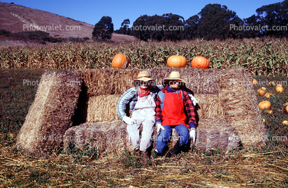 Scarecrow, Pumpkins
