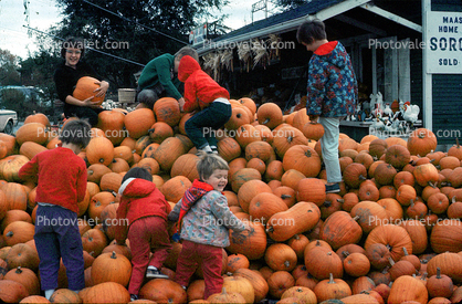 Kids climbing on a Pumpkin Hill, Pumpkins, 1970s