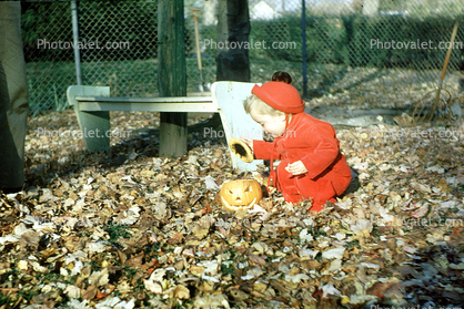 Pumpkin, Baby, Leaves, 1950s