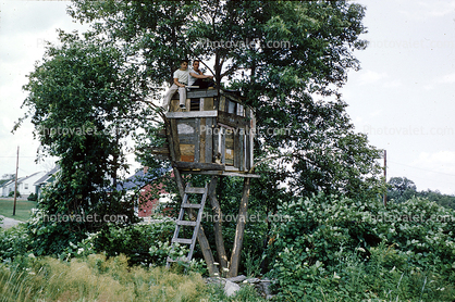 Treehouse, Boys, Backyard, Ladder, July 1958, 1950s