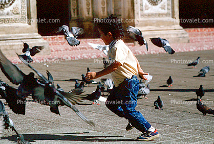 pigeons in a Park, Boy Running
