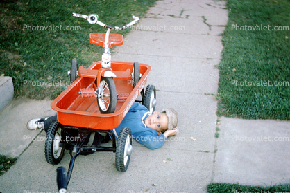 Boy, Male, Guy, Tricycle, Wagon, 1950s