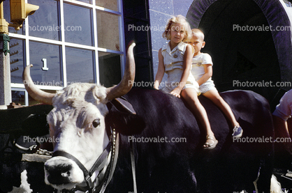 Brother and Sister sitting on a Bull, cute, funny, horns