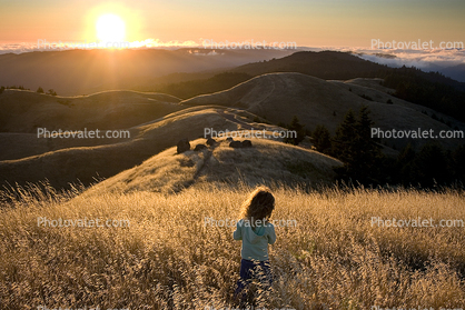 Little Girl Dreaming, Mount Tamalpais, Sunset in the Grass