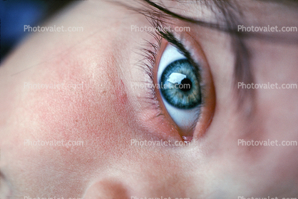 Girl, Face, Female, Eyeball, Iris, Lens, Pupil, Eyelash, Cornea, Sclera, skin, eyebrow