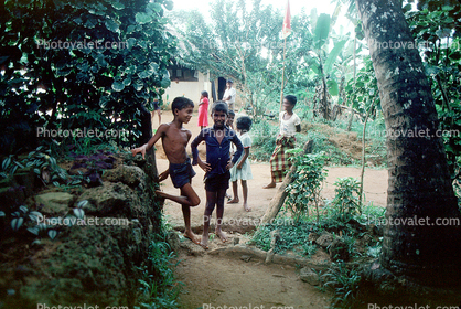Boys, Male, Street, Sri Lanka