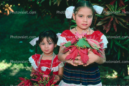 Poinsettia, Girls, Costume, San Salvador, El Salvador