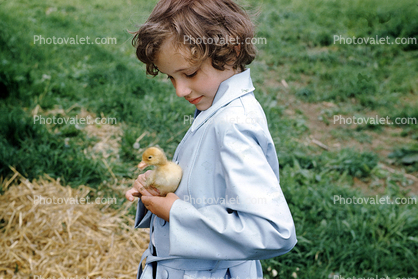 Girl with her Duckling friend, duck, cute