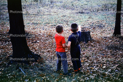 Friends, Boys, Autumn, 1950s