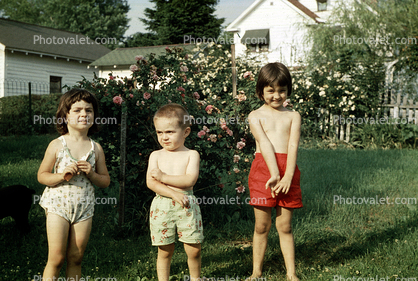 Siblings in the Summer, outdoors, 1950s