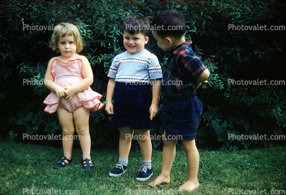 Girl, Boys, siblings, sister, brother, standing, backyard, 1950s