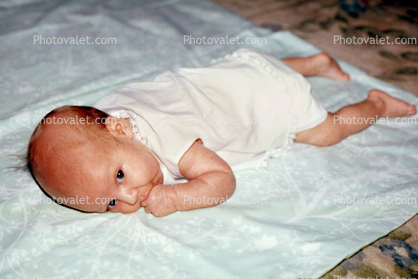 Baby Boy, Diapers, 1950s