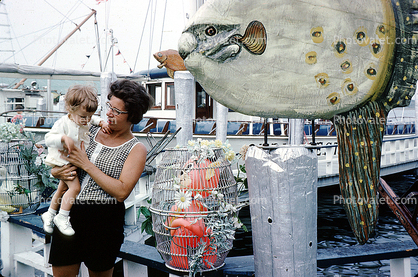 Dock, Pier, Fishing Boats, Daughter, legs, 1960s, Oceanic Sunfish