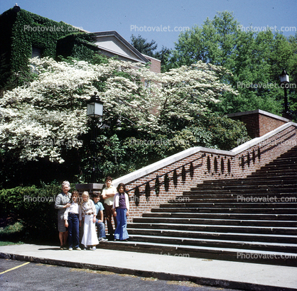 Stairs, Steps, Railing, flowers, spring time, 1970s