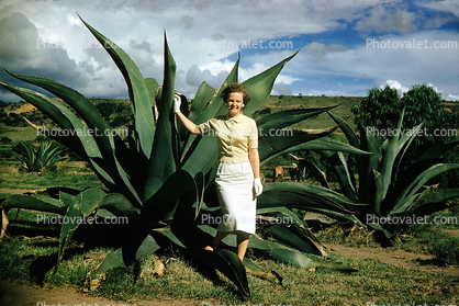 Woman, Formal Attire, Gloves, Dress, Huge Agave Plant, 1940s
