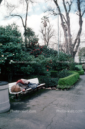 Homeless Man Sleeping on a Bench
