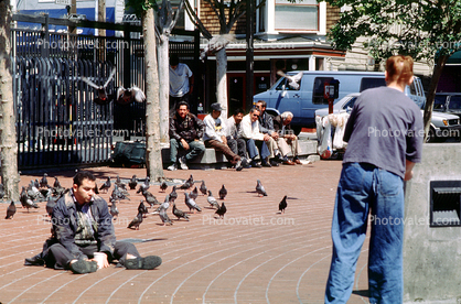 Homeless, Beggar Man, Begging, Pigeons, birds