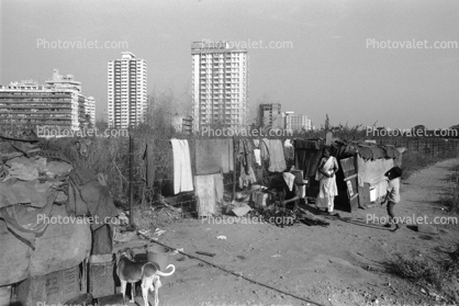 Shanty Homes, Shack, apartment buildings, slum, Mumbai, India
