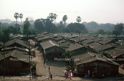 Homes, shacks, slum, buildings, Mumbai