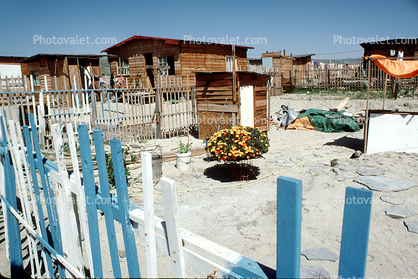 Flowers, Home, House, building, fence, Tijuana, Mexico
