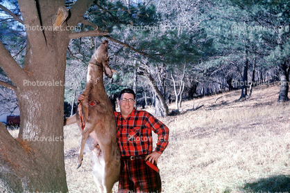 Deer, dead buck, Hunter