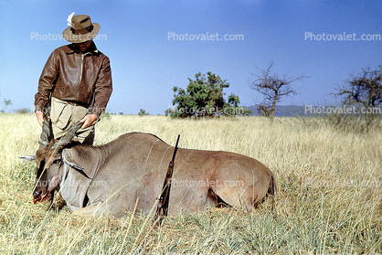 African Antelope poaching, Poachers, Hunters, Rifle, poached, Africa, African, 1951, 1950s