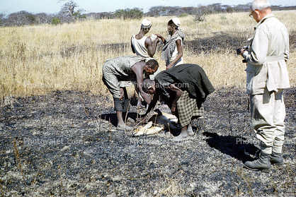 poaching, Poachers, Hunters, poached, Africa, African, 1951, 1950s