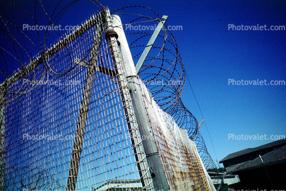Barbed Wire, Fence, Robbins Island Prison