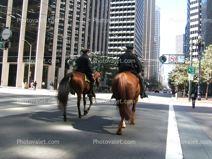 SF Mounted Patrol on Market Street