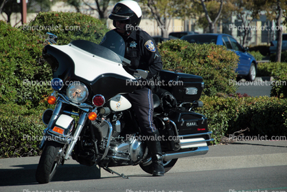 Petaluma Police