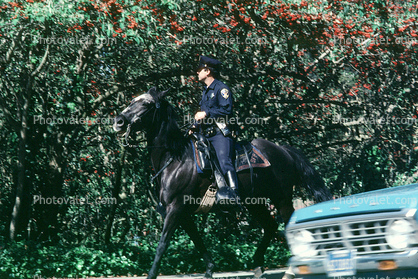 mounted police, SFPD