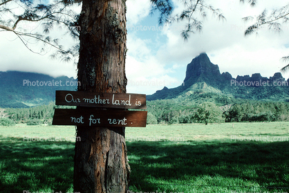 Our Motherland is not for Sale, Island of Moorea, Tahiti