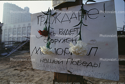 carnation, Russian Putsch Attempt, 12 October 1991