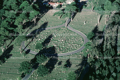 Gravestones, Graveyard