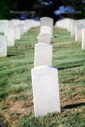 Tombstone, gravesite, Graveyard