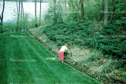 Pruning in a large garden