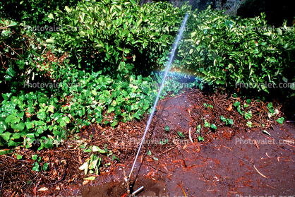 rainbow, watering, water, rain, wet, slippery, Exterior, Outdoors, Outside