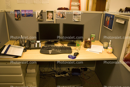 Office Cubicle, 2008