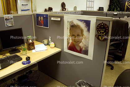 Office Cubicle, 2008