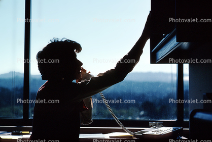 Woman on the Phone, contemplating, talking, window, female, Business Woman, Businesswoman