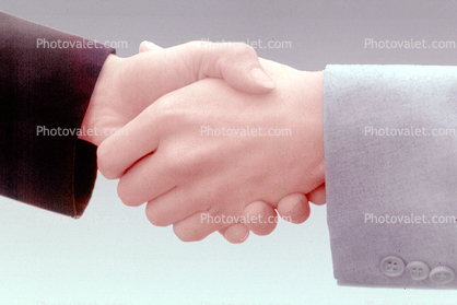 handshake, Boy, Male, Guy, Masculine, Adult, hand shake