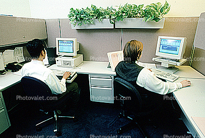 Business Woman, desk, computer, desktop, monitor, keyboard, cubicle, man, woman, businessman