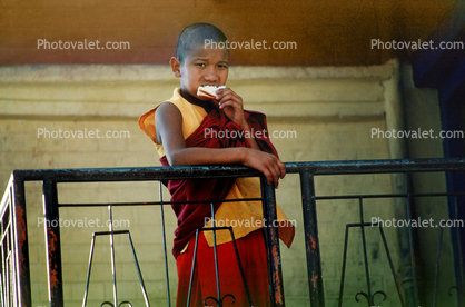 Boy, monk, Kathmandu