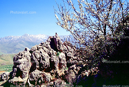 Hermit near Pahve, Kurdistan, Iran