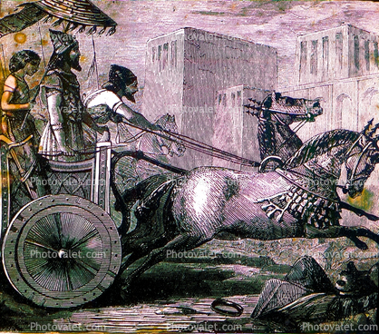 chariot, wheel, soldiers, harness, biga