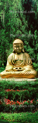 Buddha, Statue, Panorama, bookmark